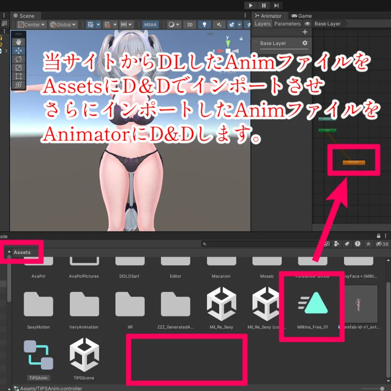 ダウンロードしたanimファイルをAssetsへインポートしAnimatorへドラッグ＆ドロップするUnity画面